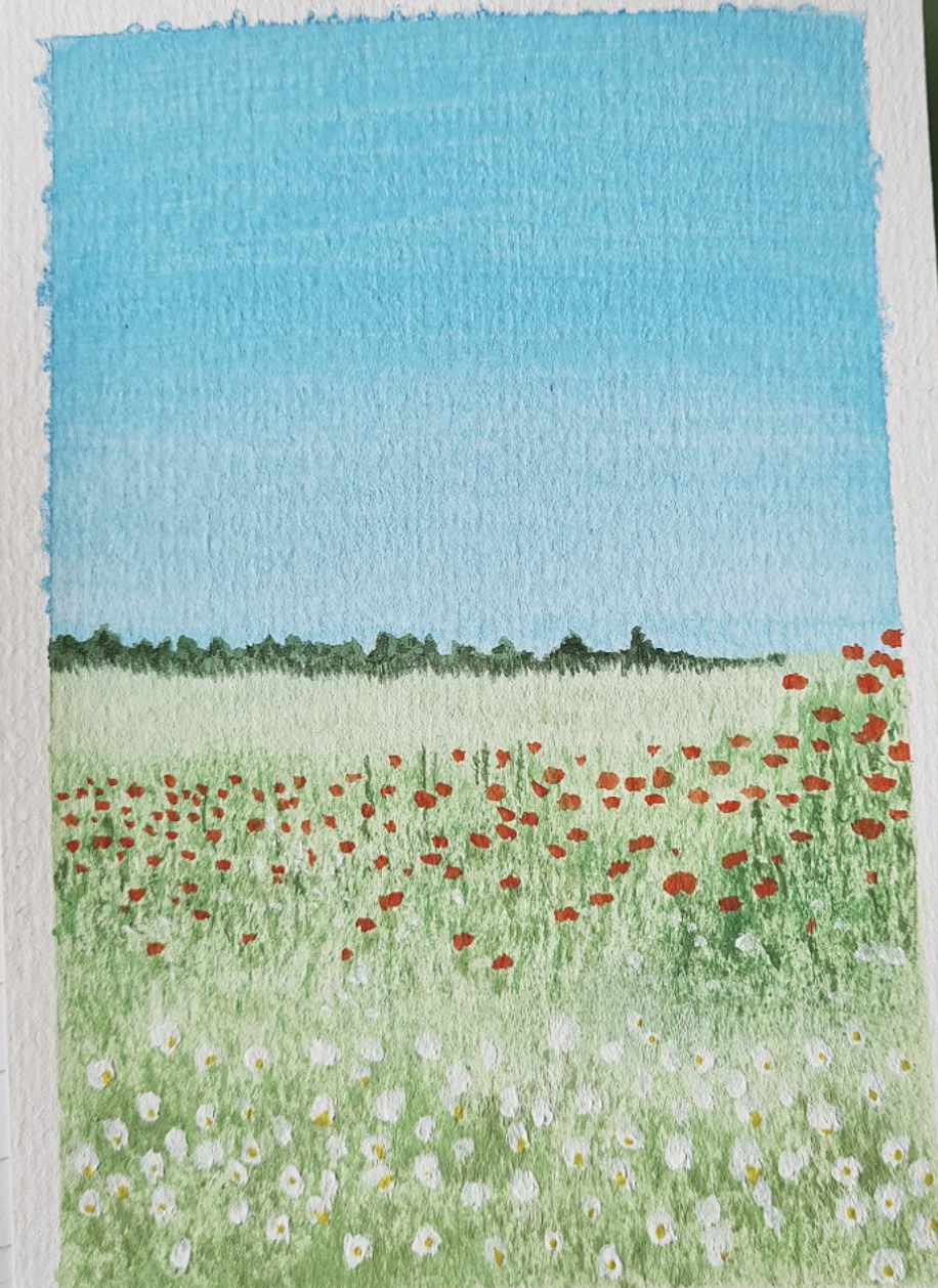 »Mohnfeld«